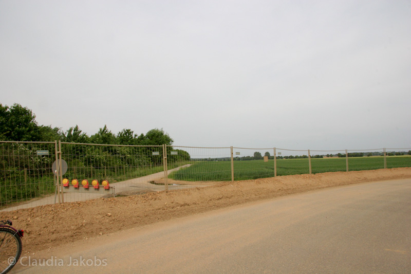 090521163304 IMG 4669