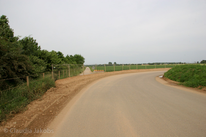 090521163501 IMG 4670