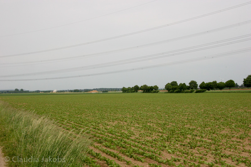 090521164358 IMG 4675