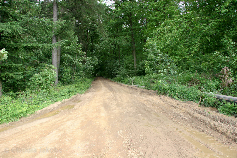 090521170232 IMG 4676