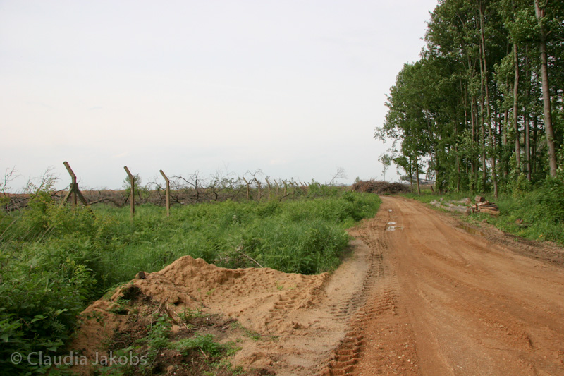 090521170254 IMG 4679