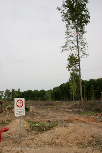 090521170905 IMG 4685