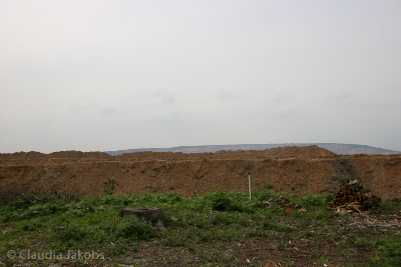 090521171159 IMG 4686