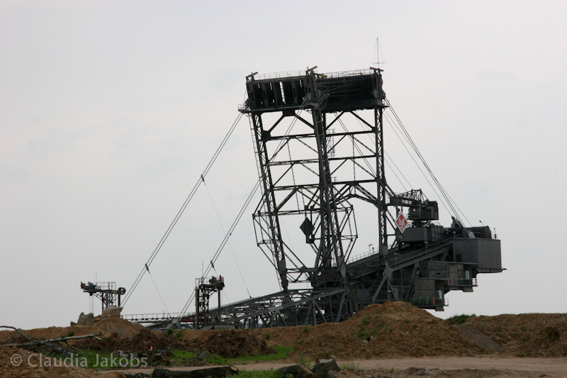 090521173343 IMG 4694