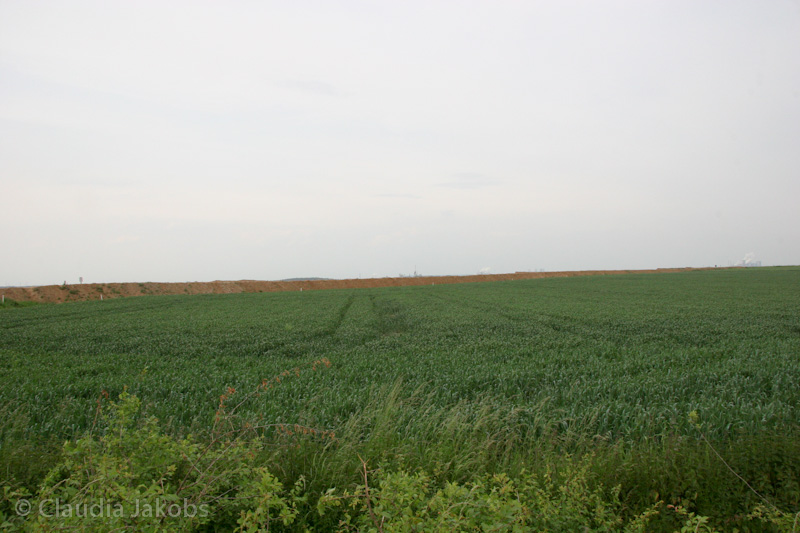 090521173353 IMG 4695