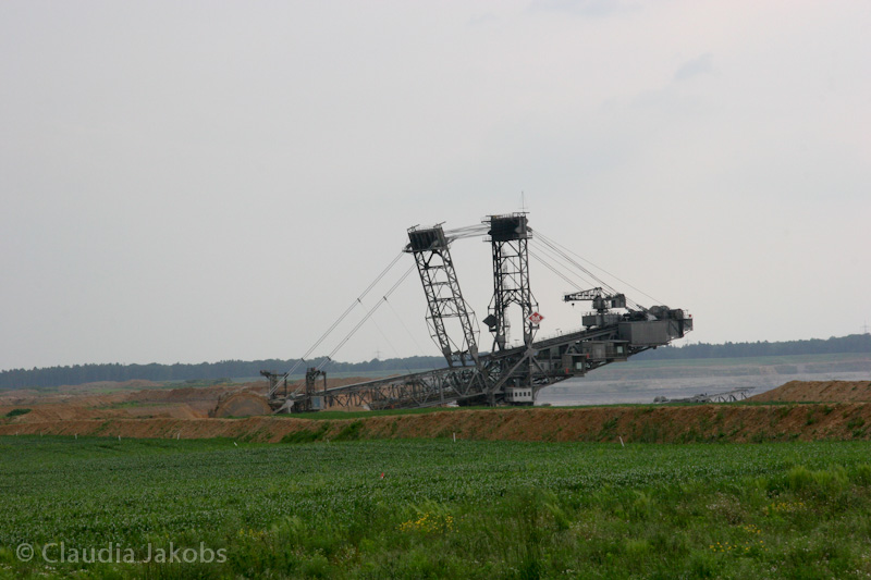 090521173820 IMG 4699