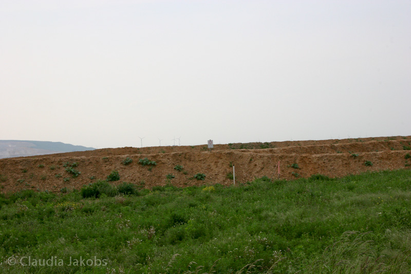 090521173828 IMG 4700