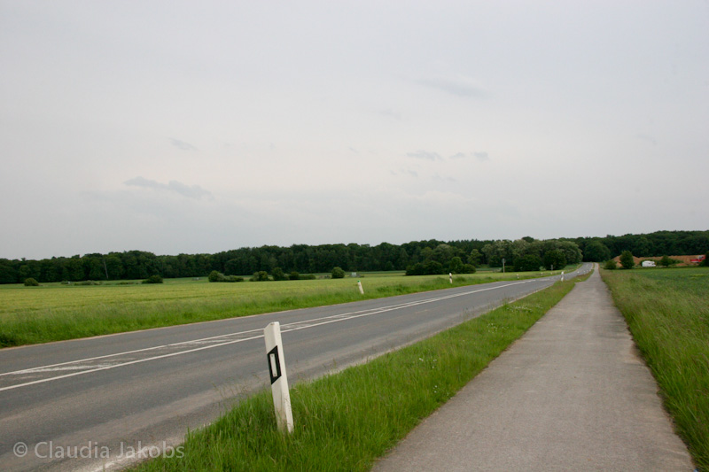 090521173838 IMG 4702