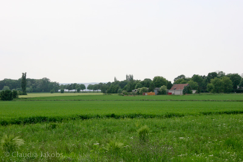 090521174901 IMG 4705