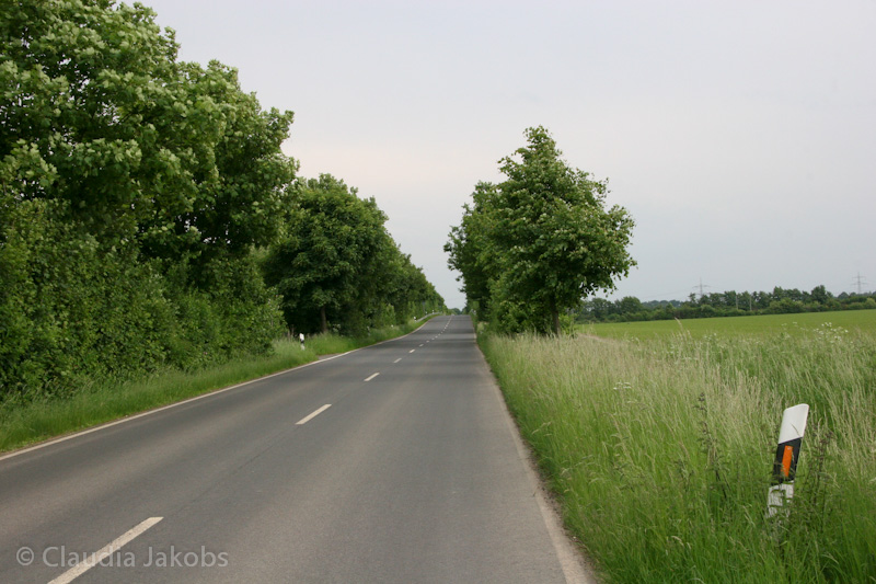 090521174923 IMG 4708