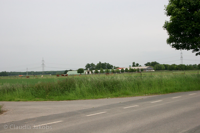 090521175347 IMG 4709