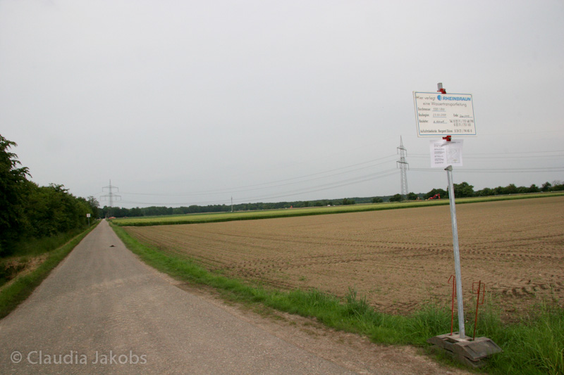 090521175802 IMG 4715