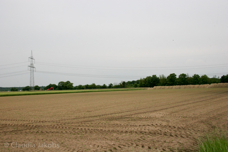 090521175810 IMG 4716