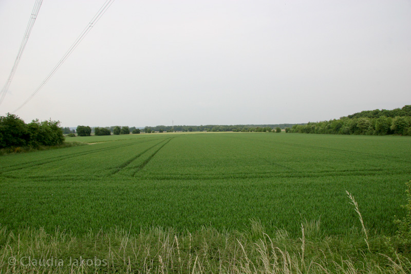 090521180301 IMG 4720