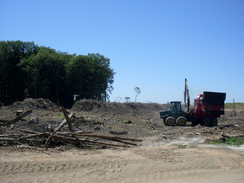 080101002924 SDC17485