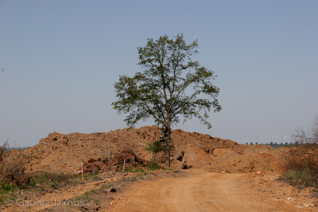 110525125141 IMG 6821