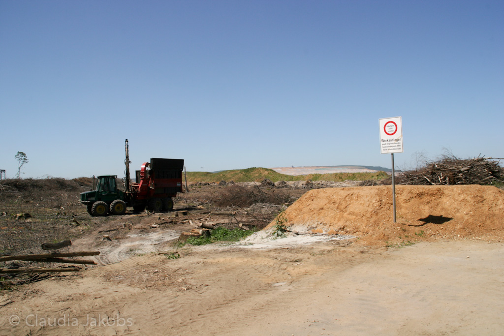 110525125330 IMG 6829