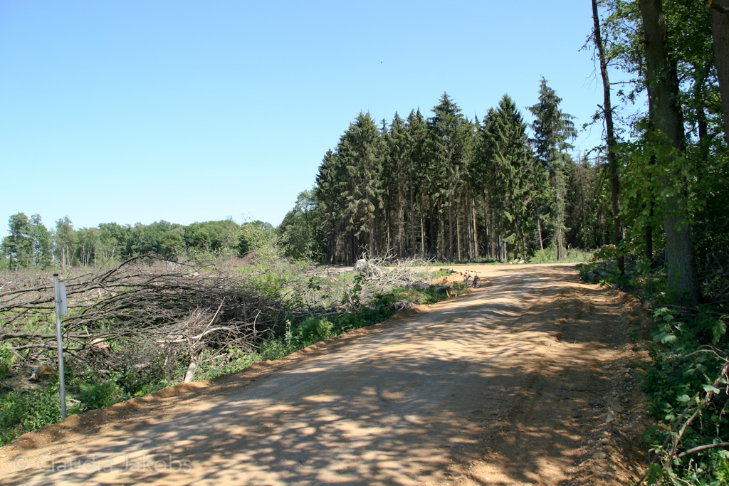 110525130427 IMG 6845