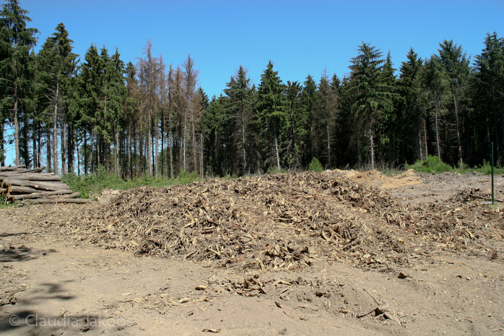 110525131032 IMG 6849