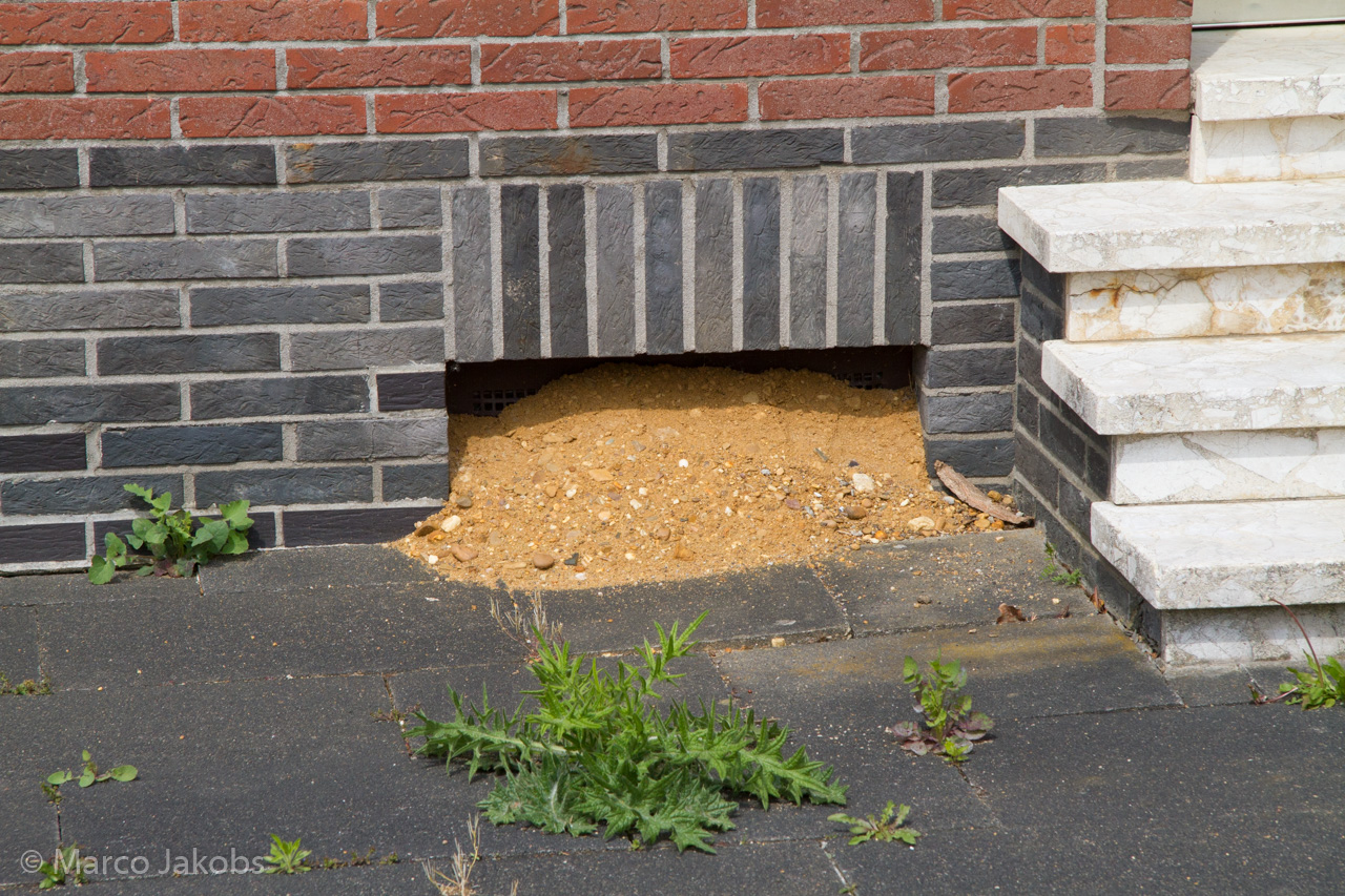 20150502114106 MJ  3663