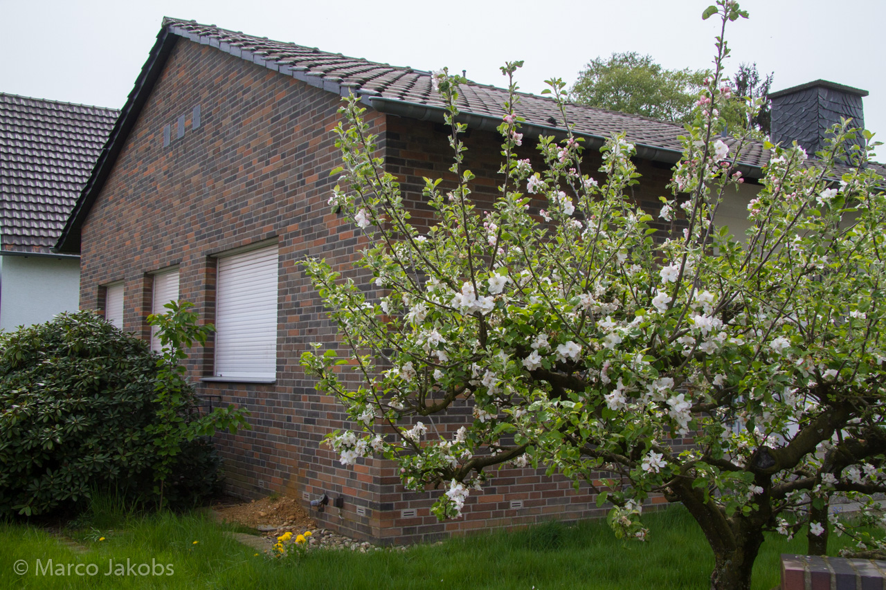 20150502114530 MJ  3678