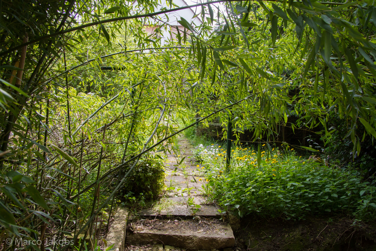 20150502114806 MJ  3684