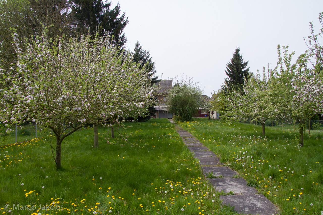 20150502115933 MJ  3698