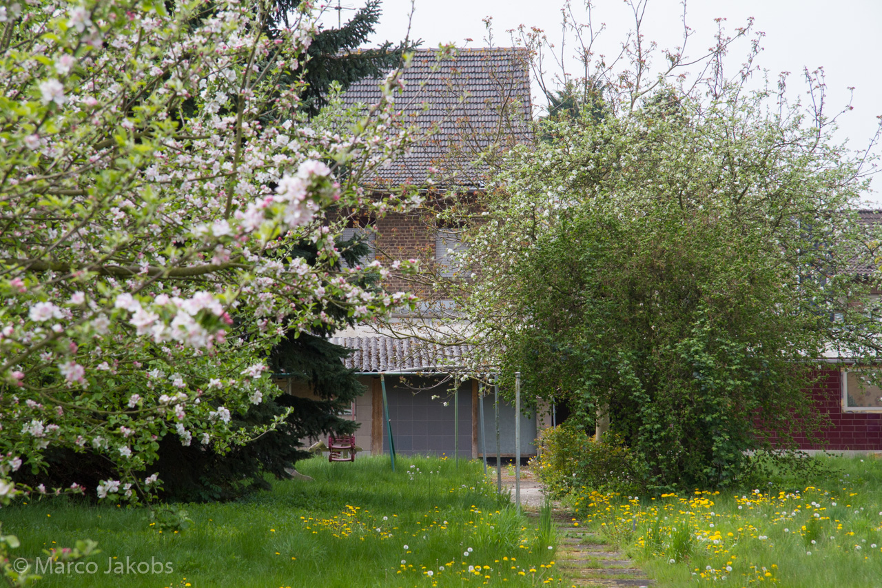 20150502115938 MJ  3699