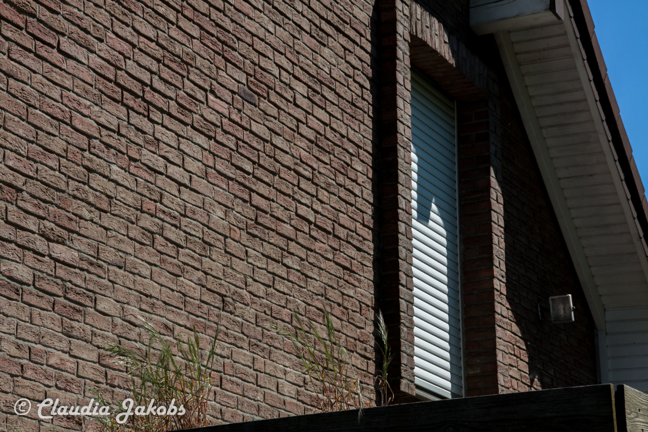 20160508122748 IMG 0552