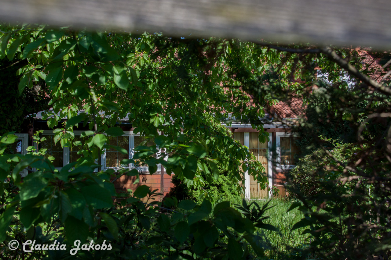 20160508130250 IMG 0576