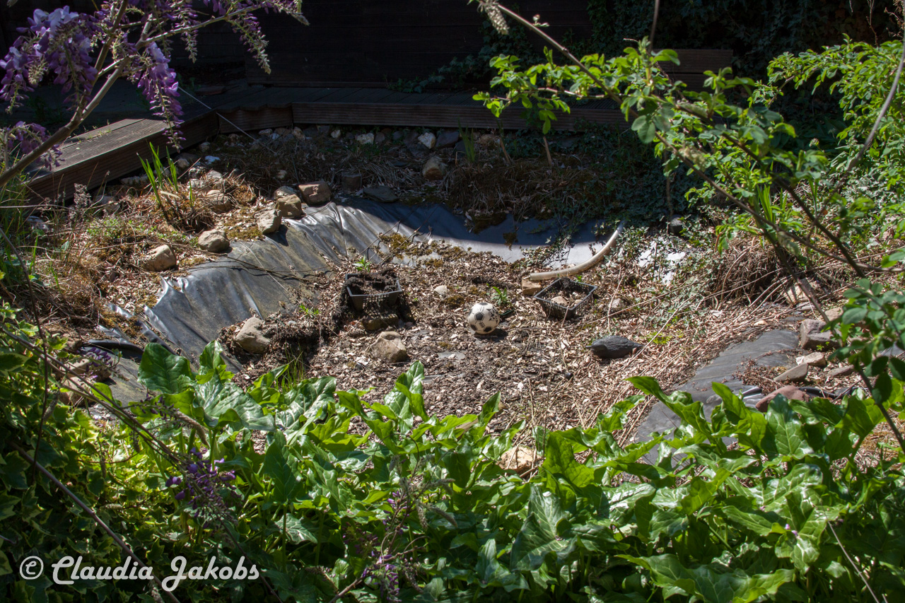 20160508132734 IMG 0631