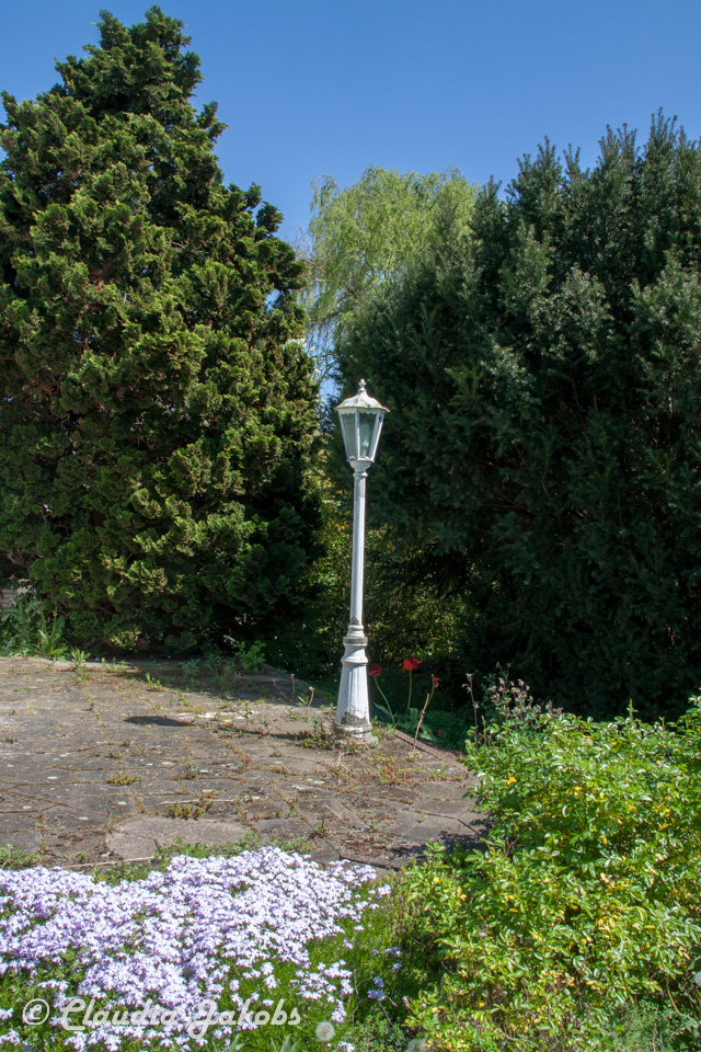 20160508132958 IMG 0635