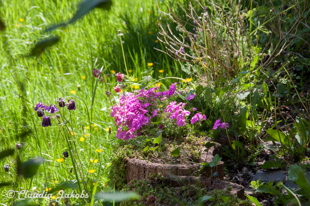 20160508135234 IMG 0681