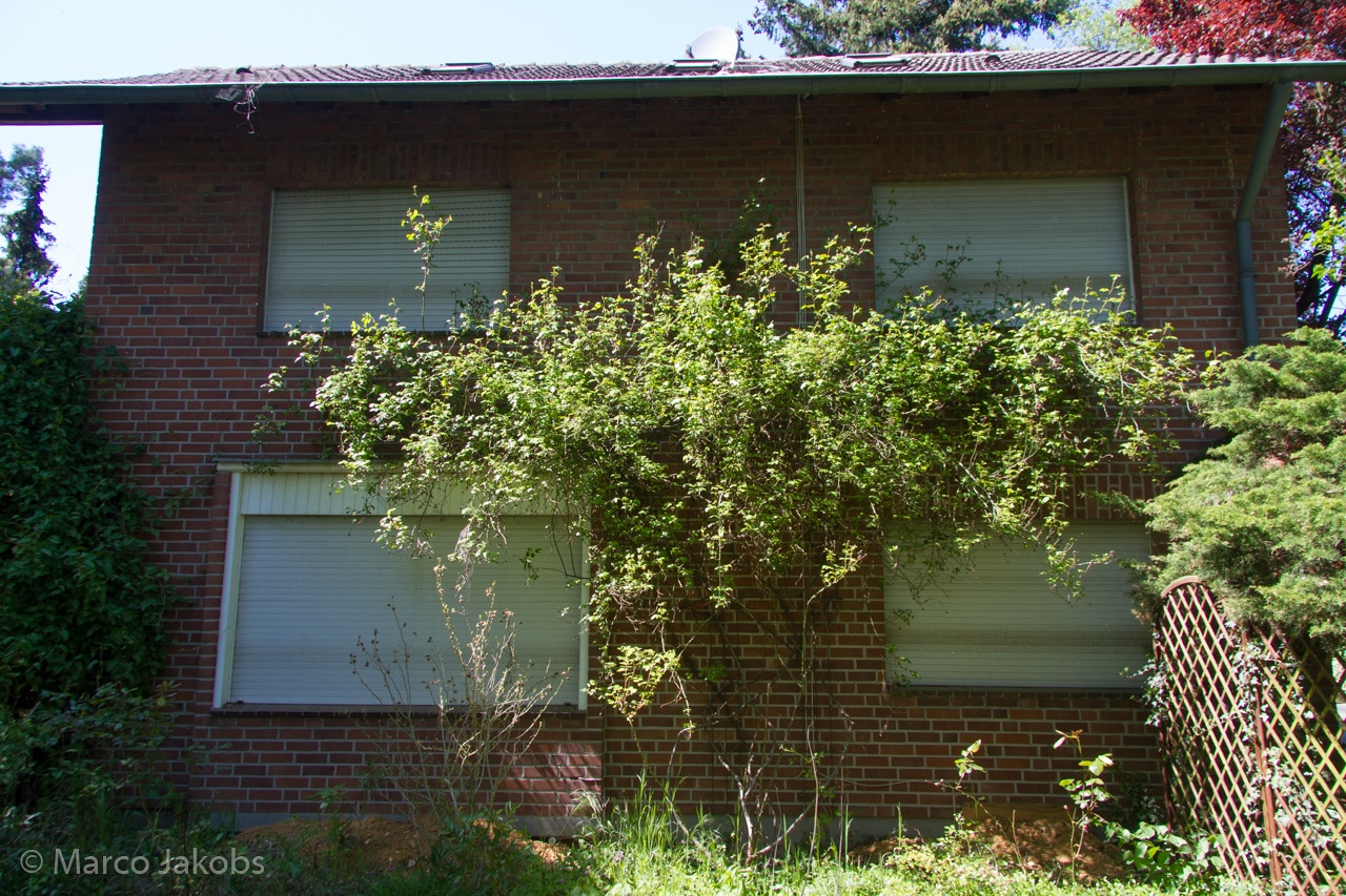 20160508135348 MJ  4554