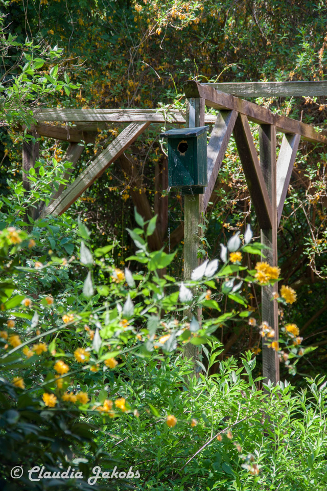 20160508135435 IMG 0685