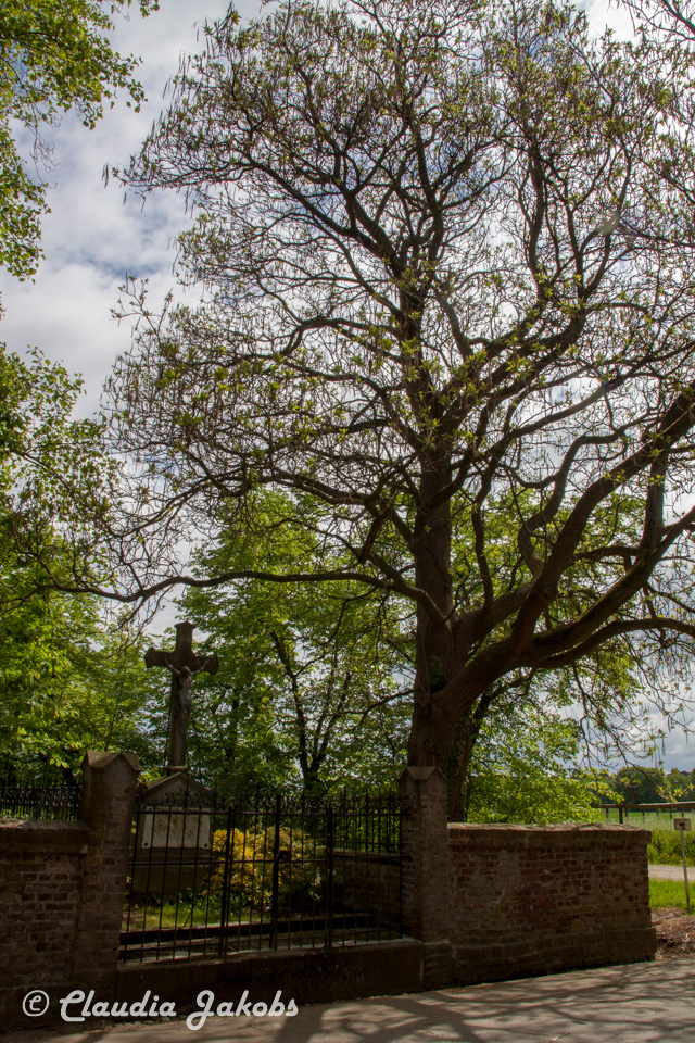 20160516101415 IMG 0733