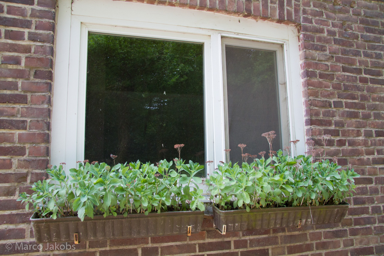 20160516101704 MJ  4591