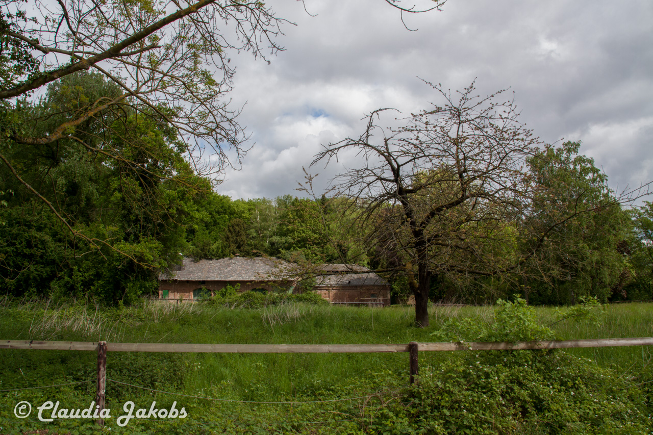 20160516101914 IMG 0741