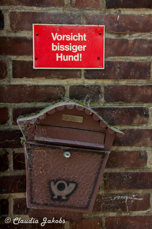 20160516102056 IMG 0746