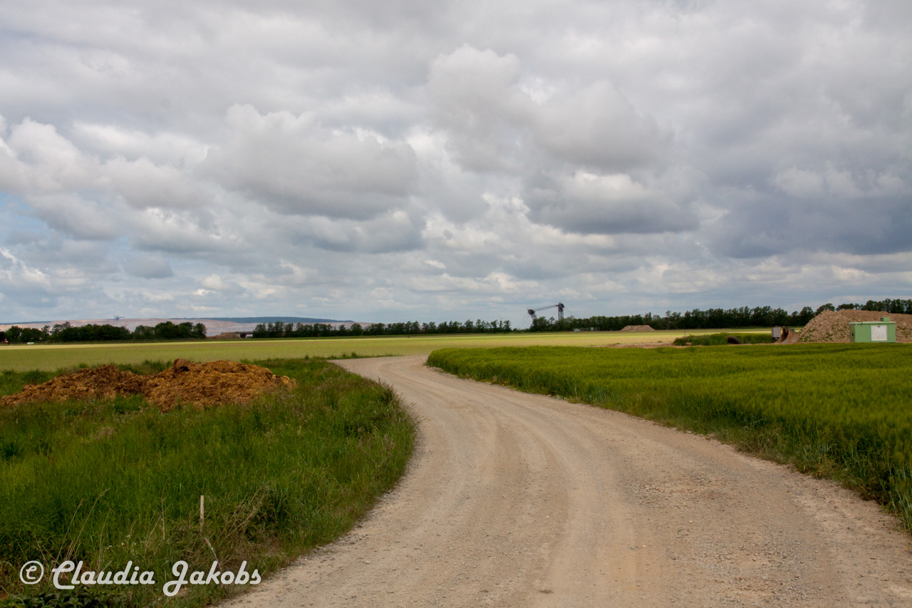 20160516102256 IMG 0748