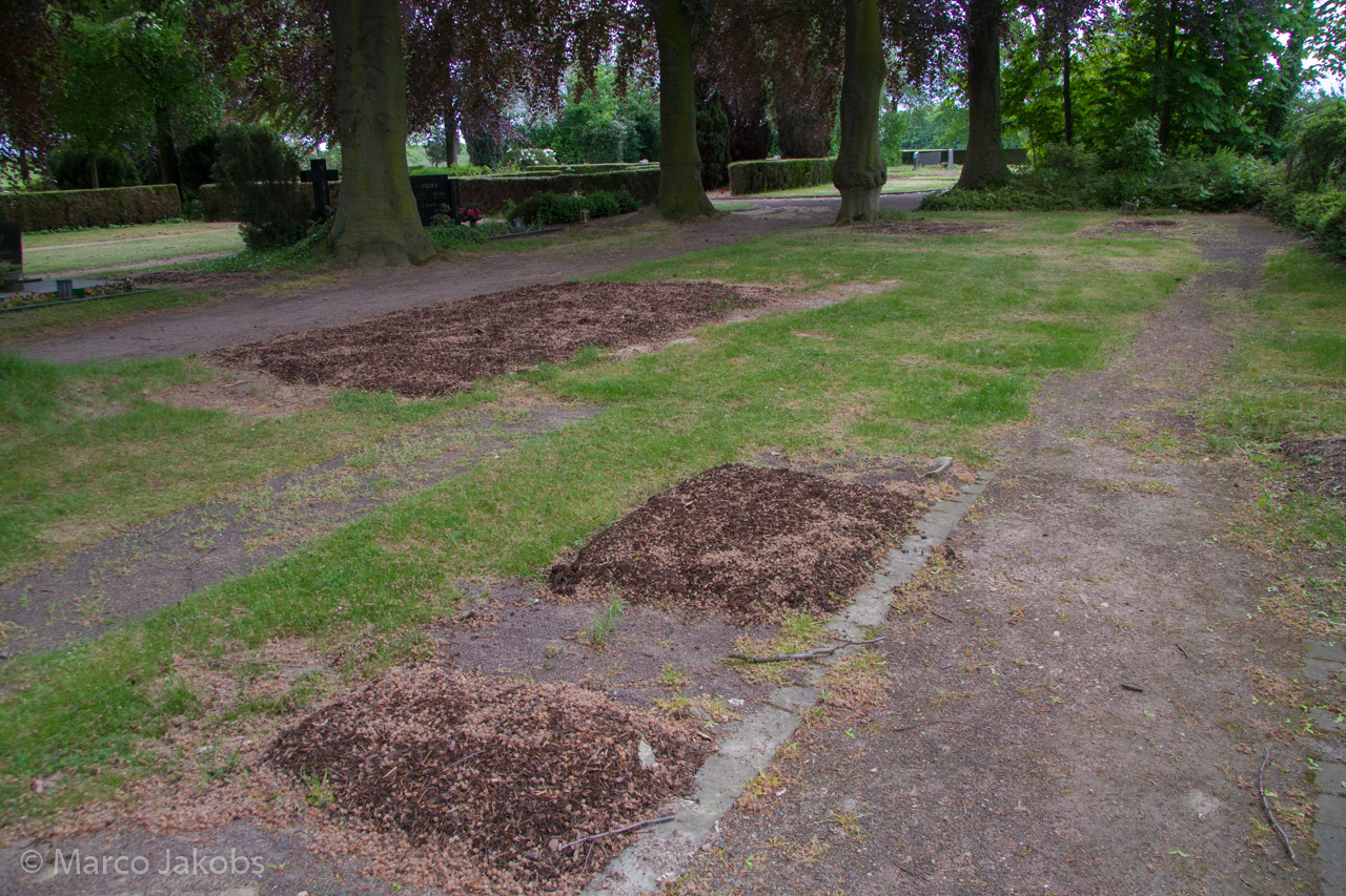 20160516105335 MJ  4641