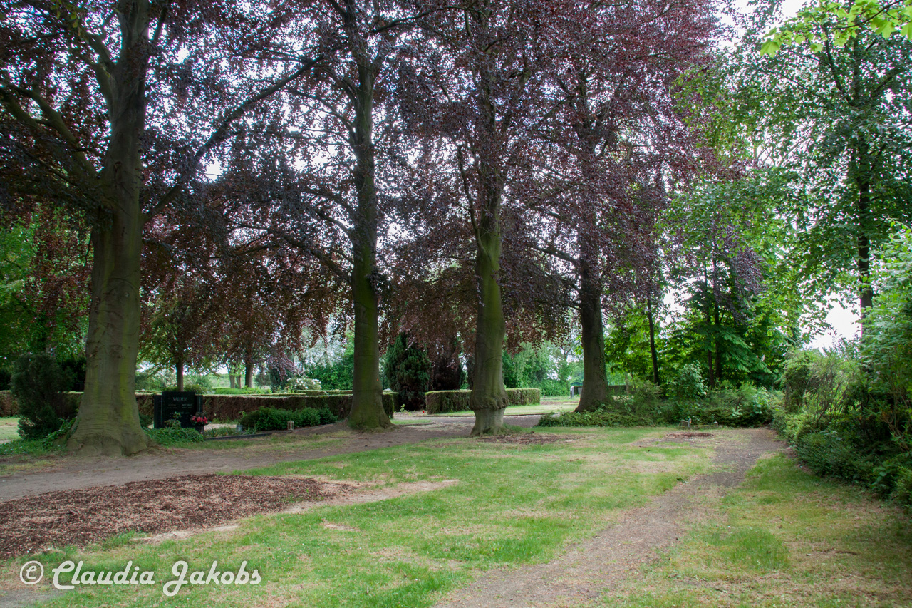 20160516105358 IMG 0790