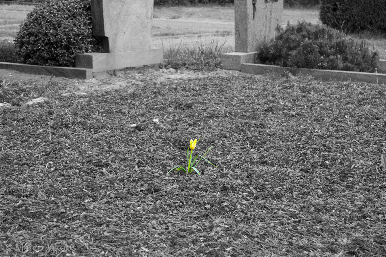 20160516105648 MJ  4648