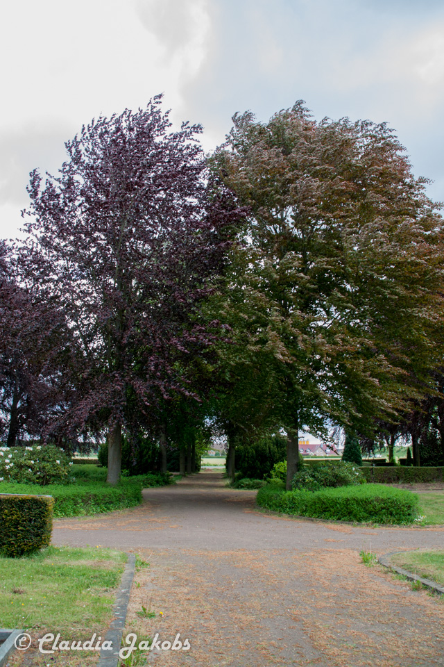 20160516105722 IMG 0799