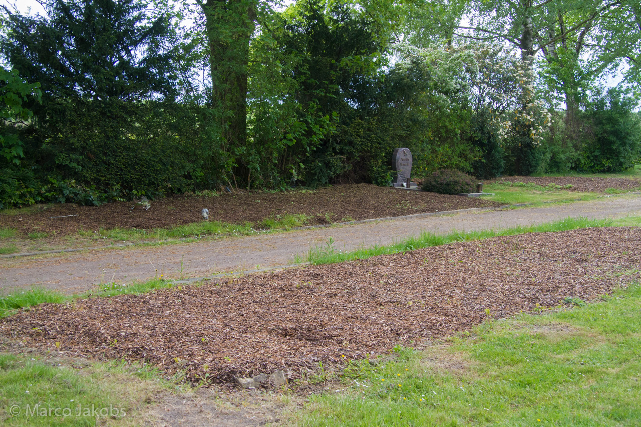 20160516105728 MJ  4649