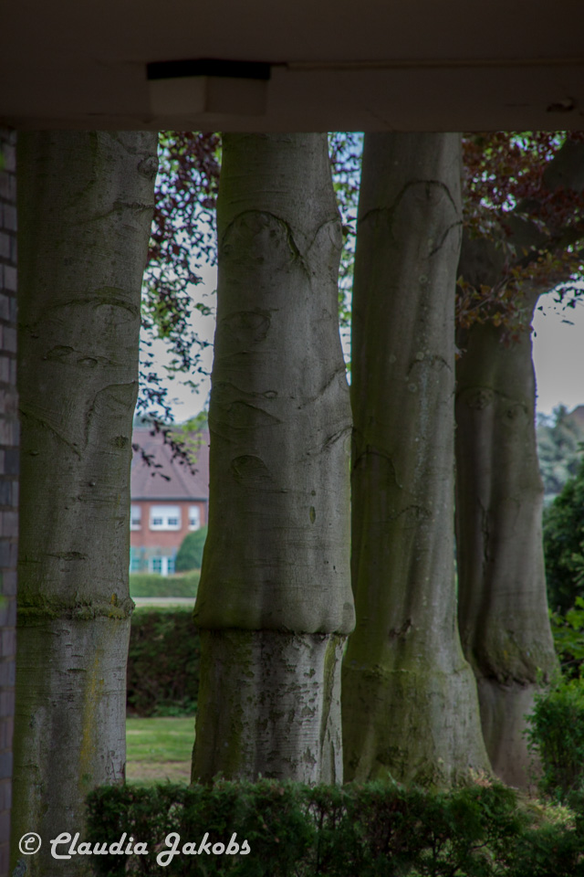 20160516105923 IMG 0803