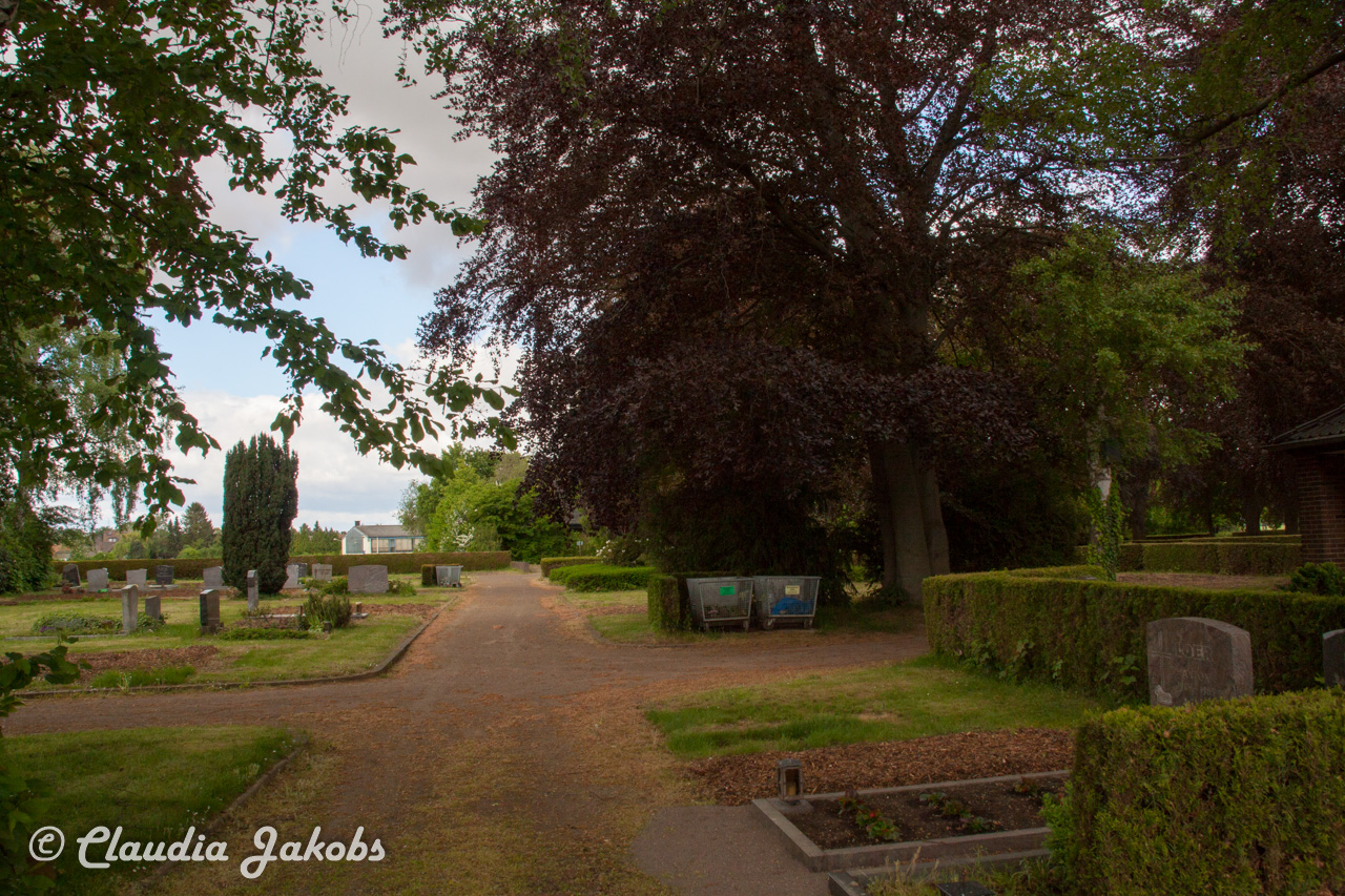 20160516105951 IMG 0805