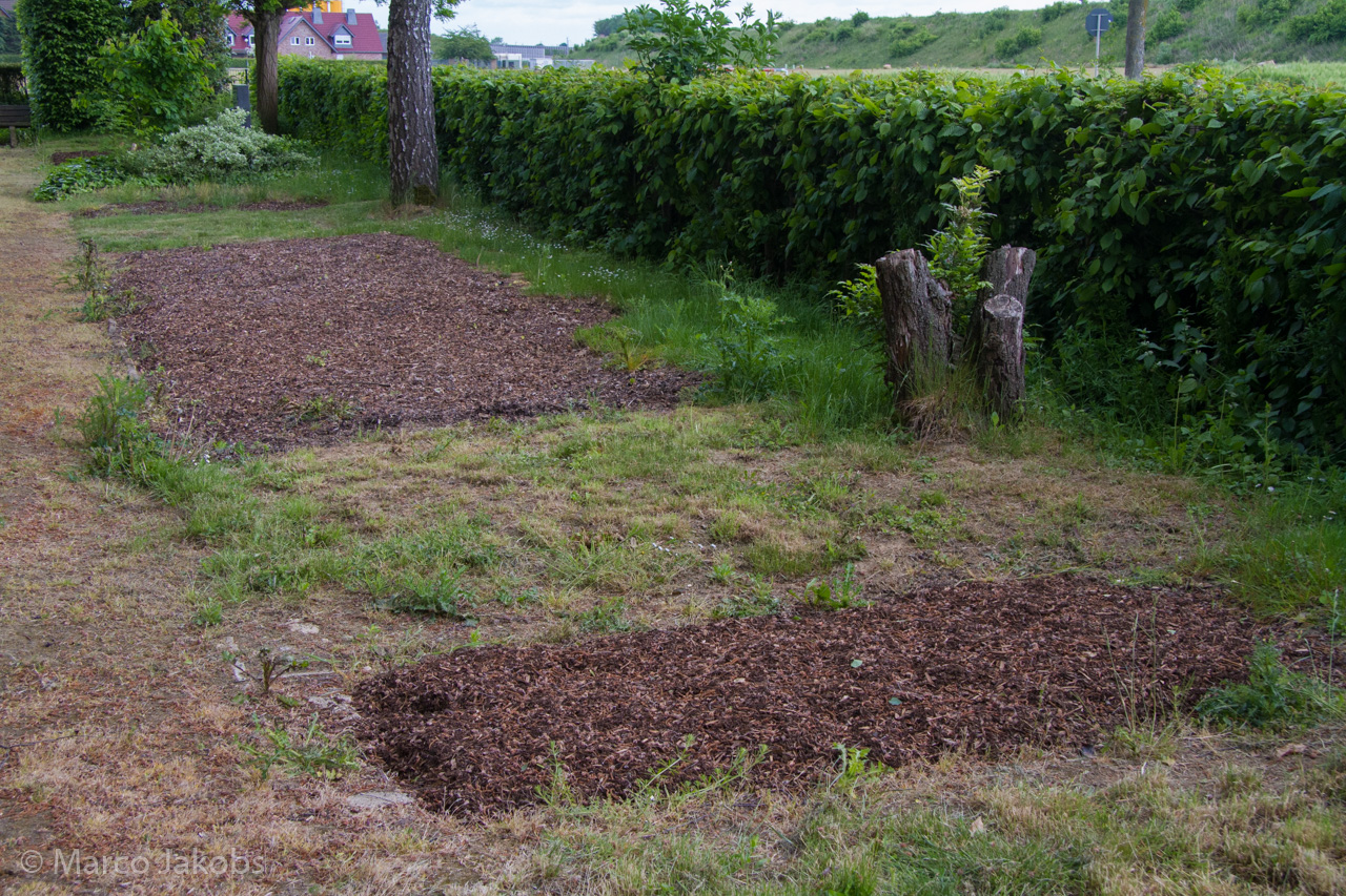 20160516110004 MJ  4655