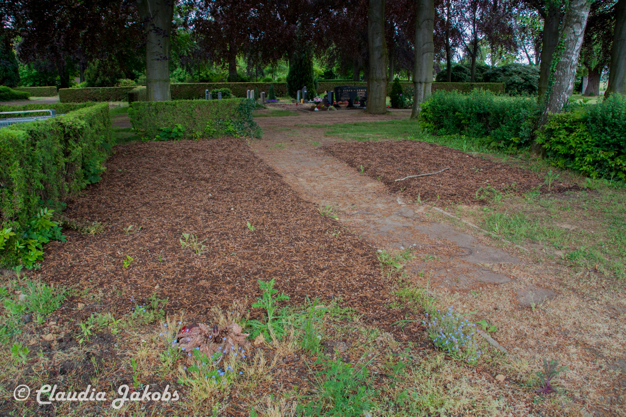 20160516110029 IMG 0806