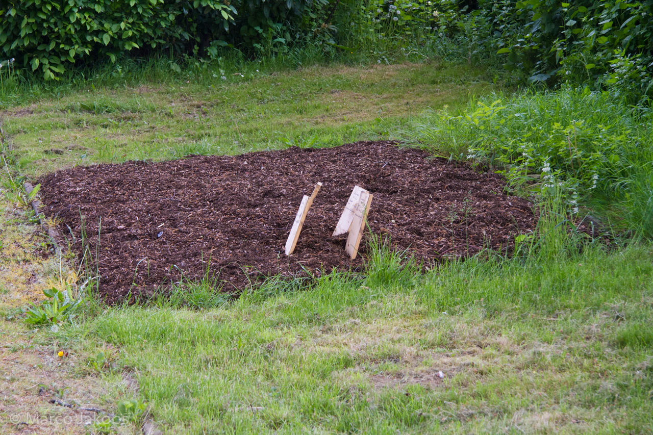 20160516110036 MJ  4656